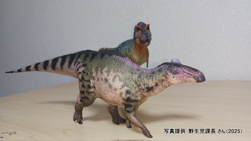 �O�b�Y���