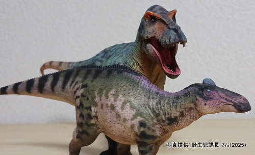 �O�b�Y���