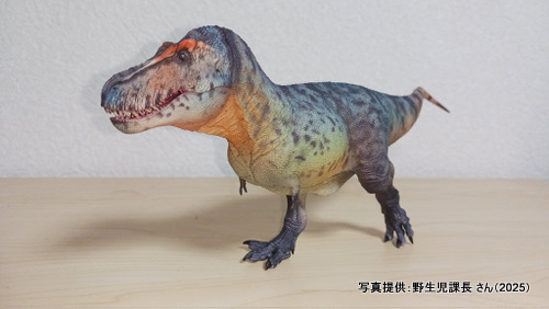 �O�b�Y���