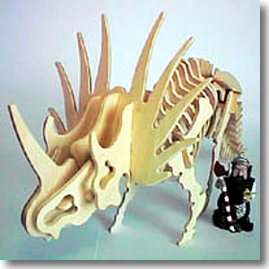 �X�`���R�T�E���X