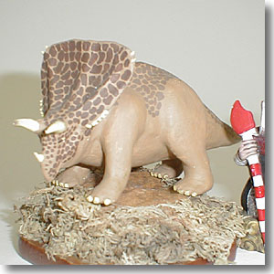 �S�y�̃J�X��