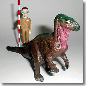 �C�O�A�m�h��