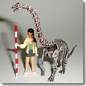 �u���L�I�T�E���X