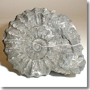 �A�����i�C�g