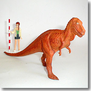 �e�B���m�T�E���X