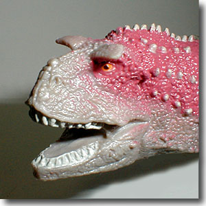 �J�i�^�E���X