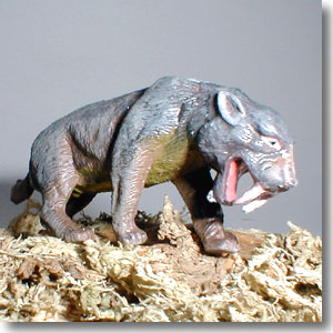 �X�~���h��