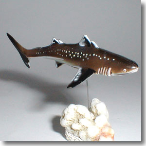 �N���h�Z���P