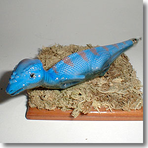 �p�L�P�t�@���y��