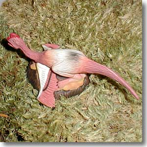 �I�r���v�g��