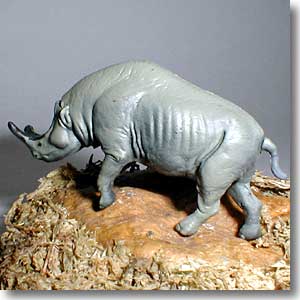 �u�����g�e���E��