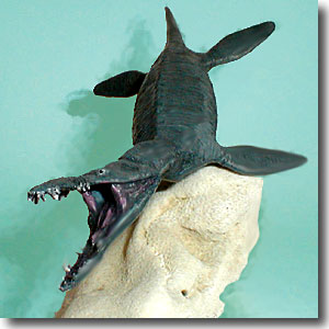 ���I�v���E���h��