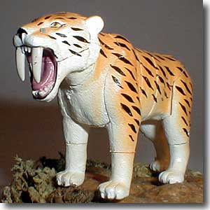 �X�~���h��