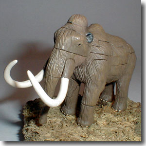 �E�[���[�}�����X