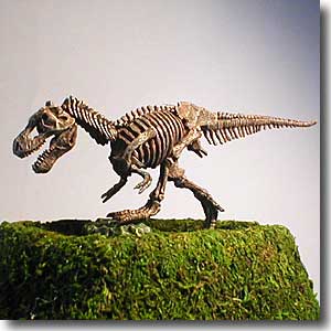 �e�B���m�T�E���X