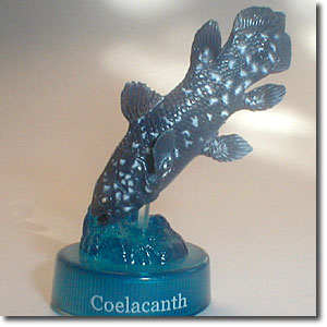 �V�[���J���X