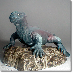 �K���p�S�X�C�O�A�i