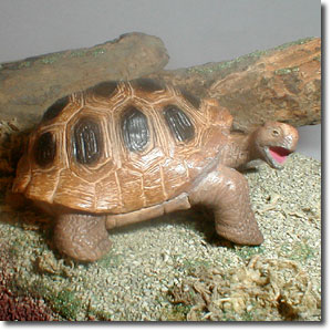 �K���p�S�X�]�E�K��