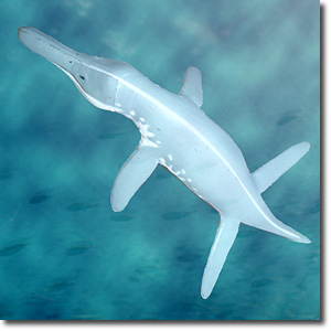 ���I�v���E���h��