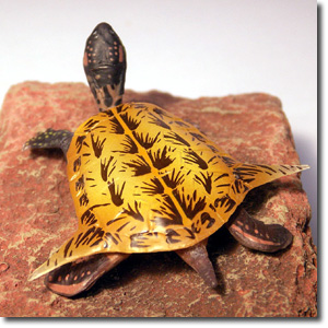 �V�l�~�X�E�K����