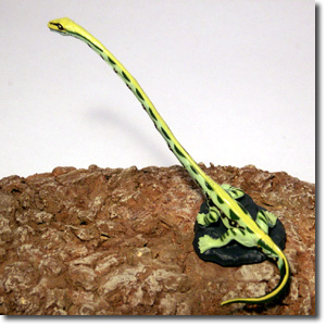 �^�j�X�g���t�F�E�X