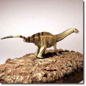 �A�p�g�T�E���X