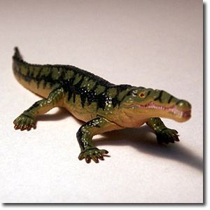 ���e�B�I�h��