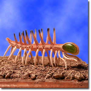 �n���L�Q�j�A