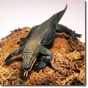 ���K���j�A