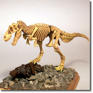 �^���{�T�E���X