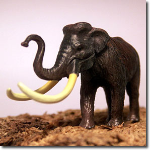 �i�E�}���]�E