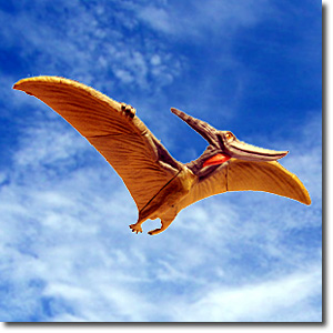 �v�e���m�h��