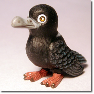 �����J���X�o�g