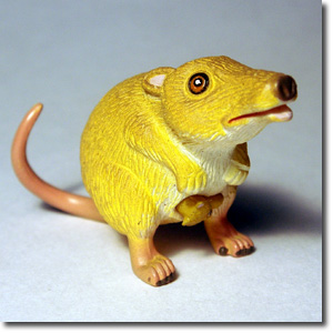 �l�Y�~�J���K���[