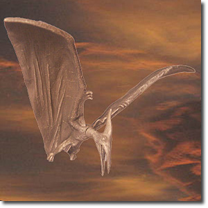 KINGKONG ����