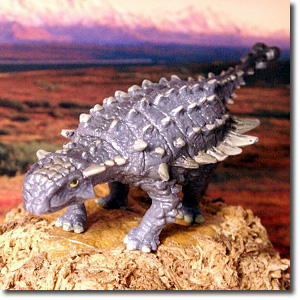 �T�C�J�j�A