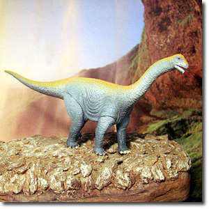 �J�}���T�E���X