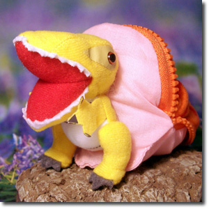 �}�v�T�E���X�̂ʂ������