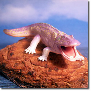 �G���I�v�X