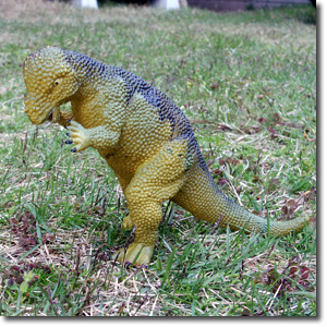 �p�L�P�t�@���T�E���X