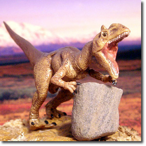 �A���T�E���X