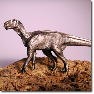 �C�O�A�m�h��