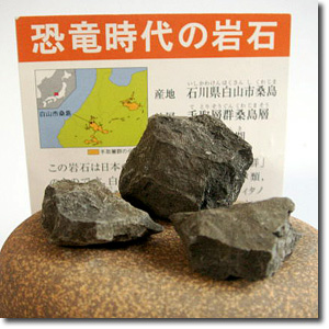 ��������̊��