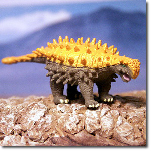 �T�C�J�j�A