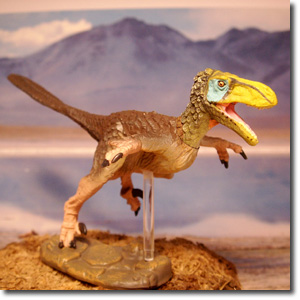 �f�B�m�j�N�X