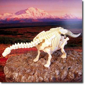 �A�p�g�T�E���X