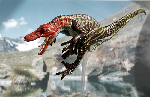 �f�B�m�j�N�X