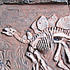 ステゴサウルス発掘現場