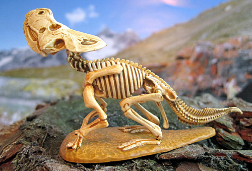 �v���g�P���g�v�X