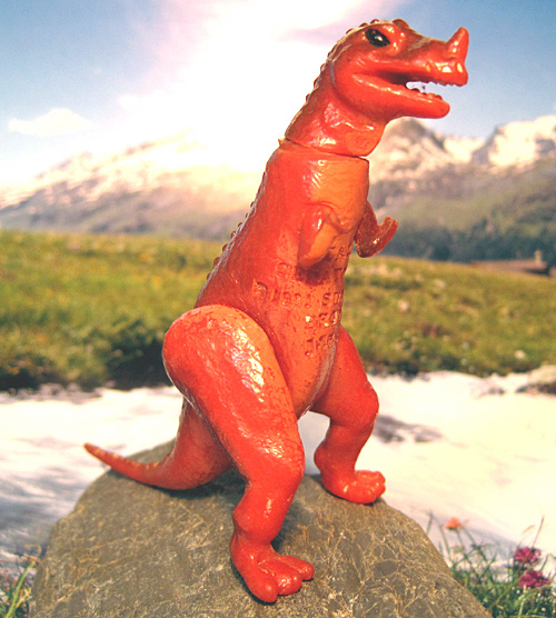 �P���g�T�E���X